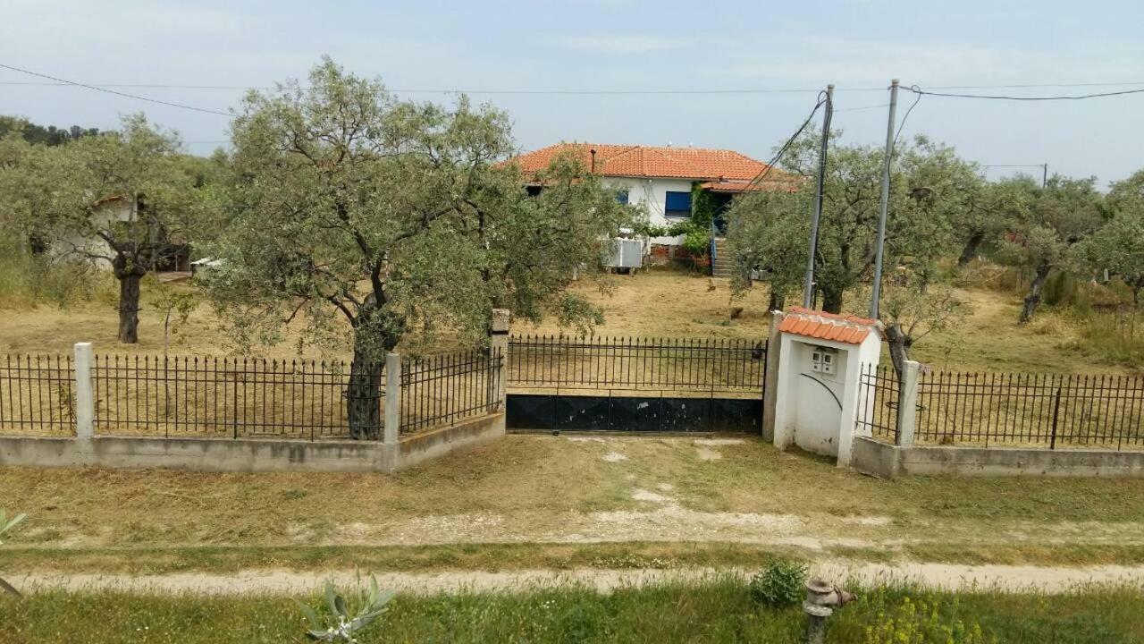Vlachogiannis El Estate Apartment Skala Rachoni  Ngoại thất bức ảnh